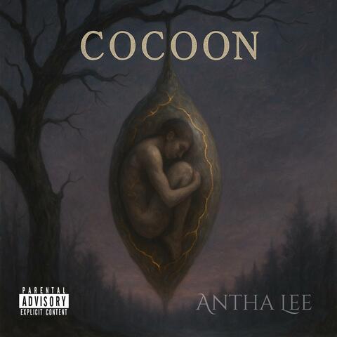 Cocoon album art