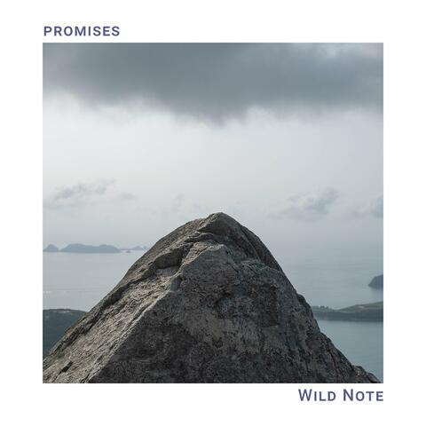Promises album art