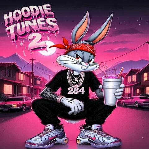 HoOdie TuneS 2 album art