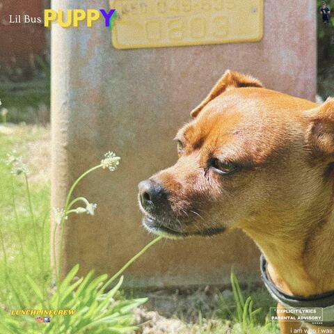 Puppy album art