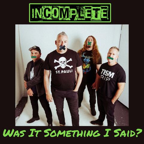 Was It Something I Said? album art