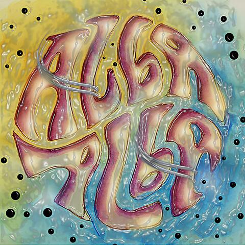Album Album album art