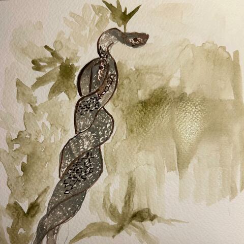 Snakes album art