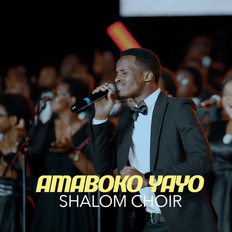 AMABOKO YAYO album art