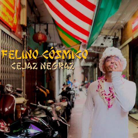 Felino Cosmico album art