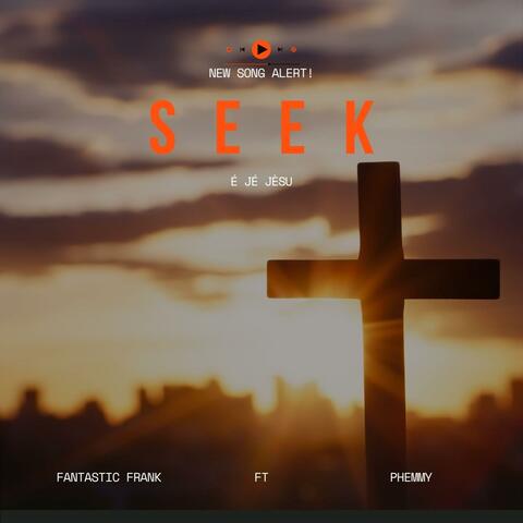 Seek (feat. Phemmy) album art