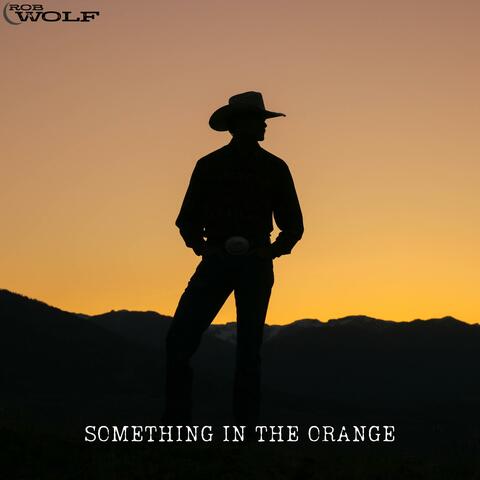 Something In The Orange album art