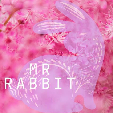 Mr Rabbit album art
