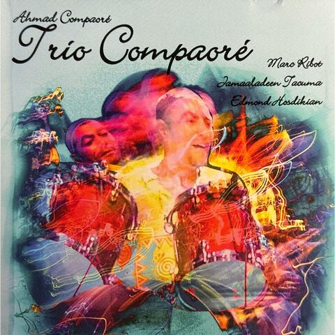 Transitional Meta-Morphosis (feat. Ahmad Compaore, Marc Ribot & Edmond Hosdikian) album art