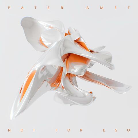NOT FOR EGO album art