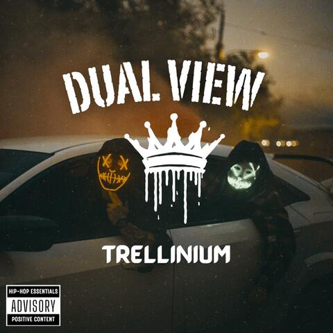 Dual View album art
