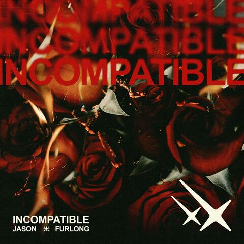 Incompatible album art