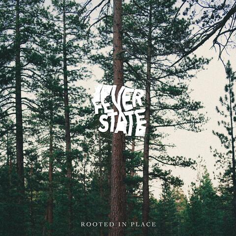 Rooted In Place album art