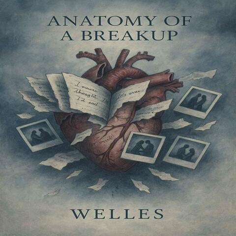 Anatomy of a Breakup album art