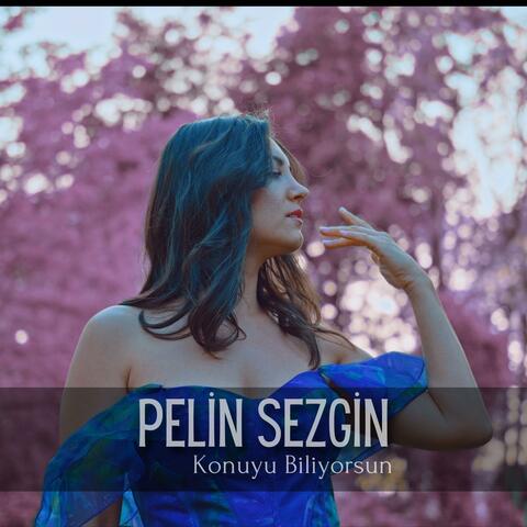 Konuyu Biliyorsun album art