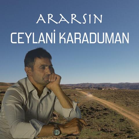 Ararsın album art