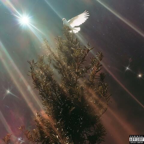 Praise Him album art