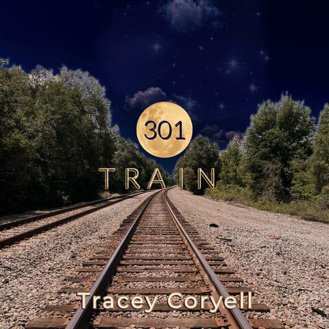 301 Train album art