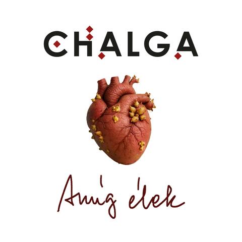 Amíg élek album art