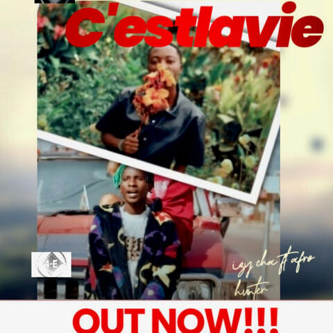 C'est La vie (feat. Afro hunter official) album art