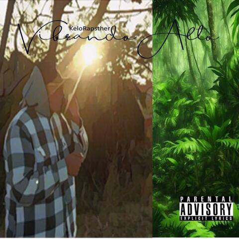 Vibrando Alto album art
