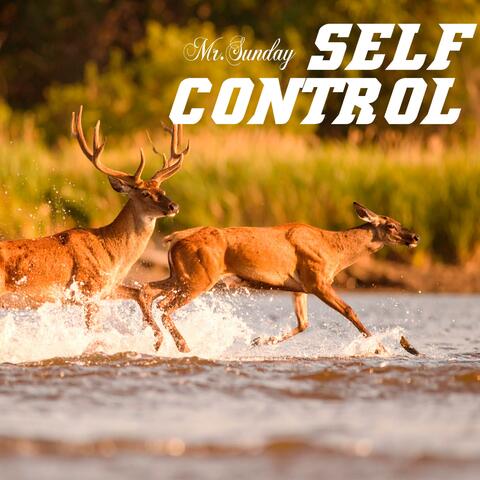 Self Control. album art