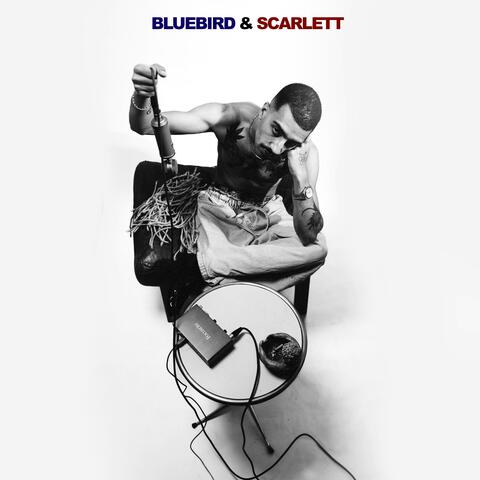 Bluebird & Scarlett album art