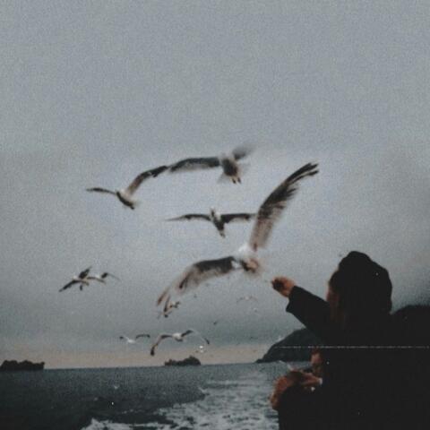 CRAVE album art