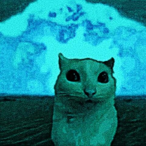 meow album art
