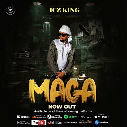 MAGA album art