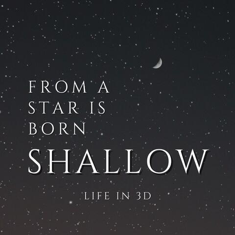 Shallow album art