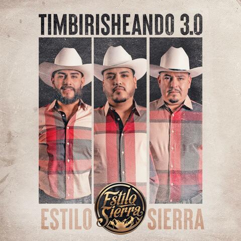 Timbirisheando 3.0 album art