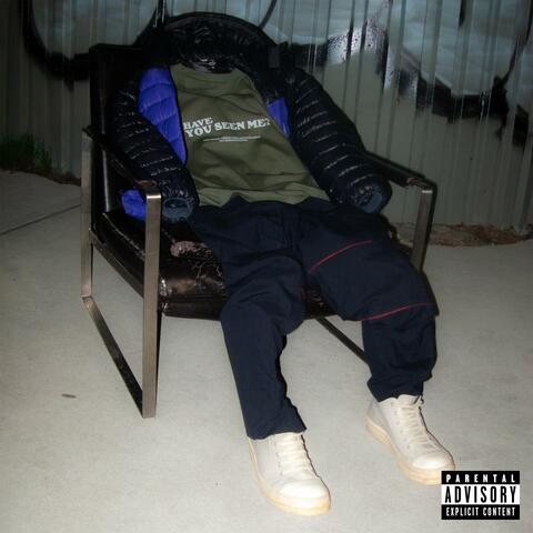 Have You Seen Me? album art