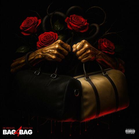 Bag 4 Bag (feat. Tana9.13) album art