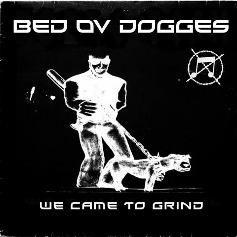 BED OV DOGGES (split with DOGSTHROWSPEAR) album art