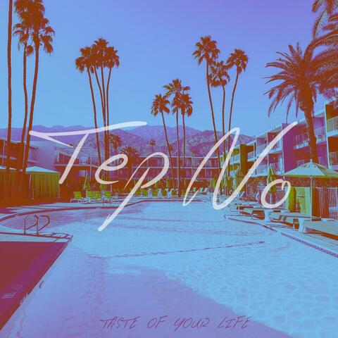 Taste Of Your Life album art