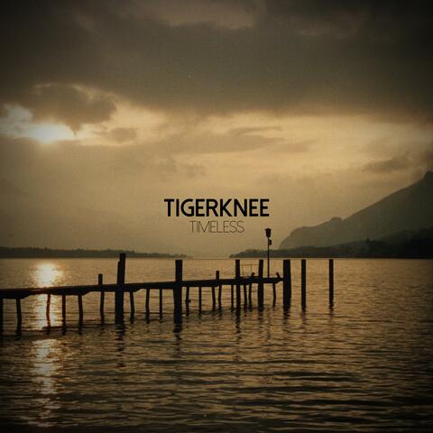 Timeless album art