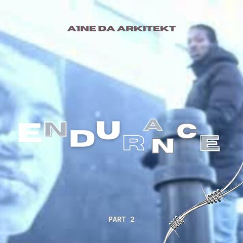 Endurance 2 album art