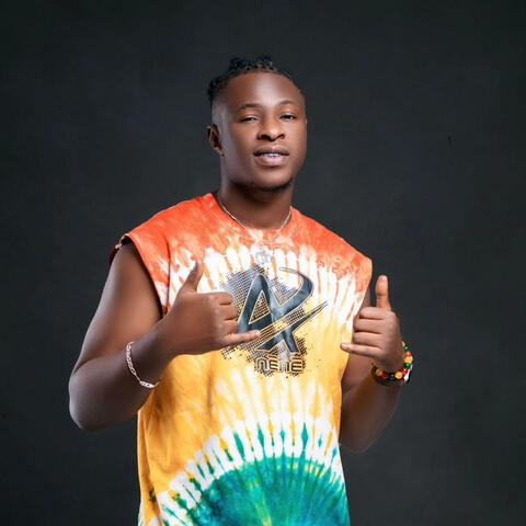 PARA BG album art