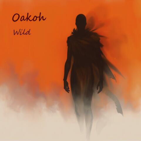 Wild album art