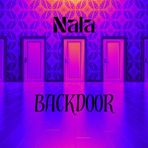Backdoor (feat. JAYBJOHNSON) album art