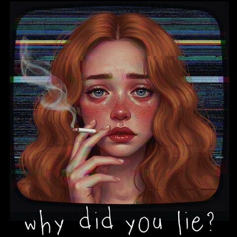 why did you lie? album art