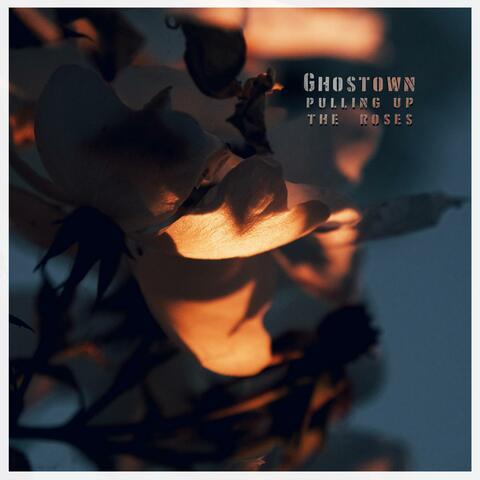 Pulling up the Roses (feat. Curlew Music) album art