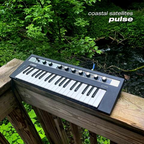 Pulse (Cave Story) album art