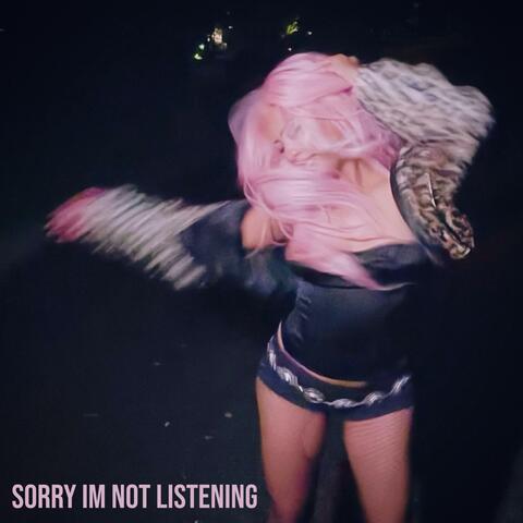sorry i'm not listening album art