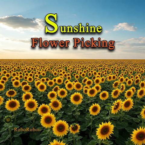 Sunshine Flower Picking album art