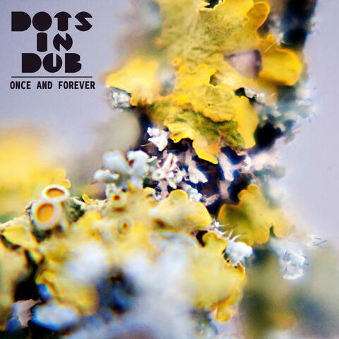 Once and Forever album art
