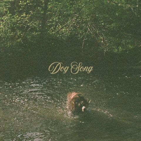 Dog Song album art