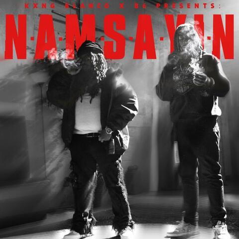 NAMSAYIN (feat. B6) album art