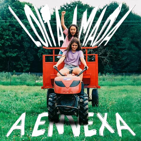 A envexa album art